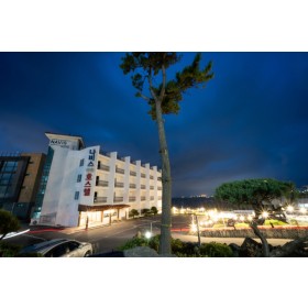 나비스호텔&펜션