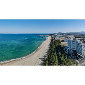 강릉 파인아트라벨*