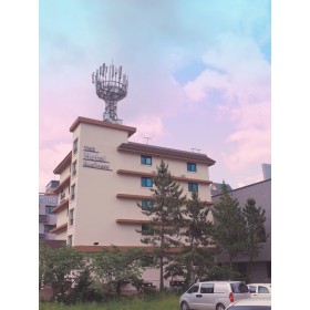 더 호텔 비즈니스