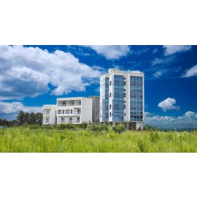 로맨스 인 강문