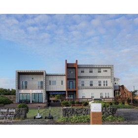 제주늘보의오후