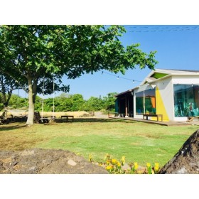 위드펫독채민박