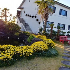 월정리 쉬엉갑서예