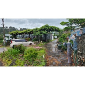 돌담에 꽃머무는 집