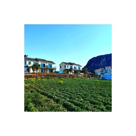 제주산방산황토펜션