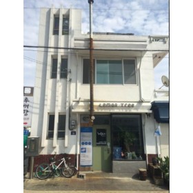 레몬트리 게스트하우스