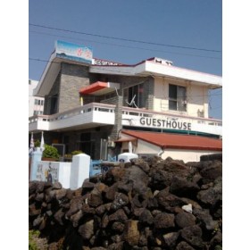 봄꽃게스트하우스