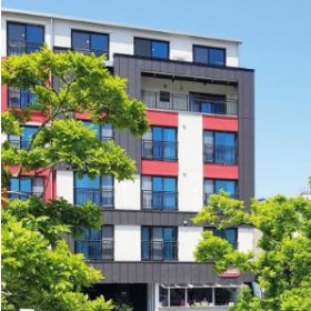 베드라디오 동문