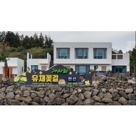 가시리 유채꽃길