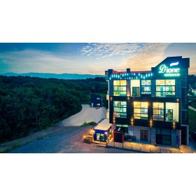 디오네스파펜션