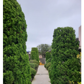 홀리호랑1 (안거리)