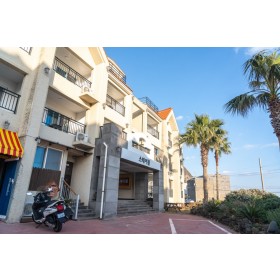 제주도 게스트하우스파티 스테이블