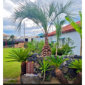 제주 빙새기팬션