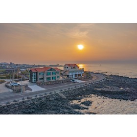 로비나발리플러스*