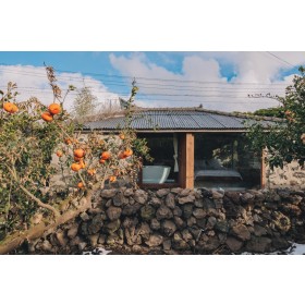 클랭블루 수동 커플*