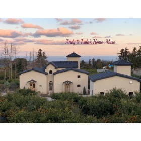 앤디앤라라홈 뮤즈