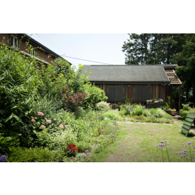 나무사이로햇살이*