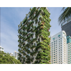 치크랜드 다낭 비치 호텔