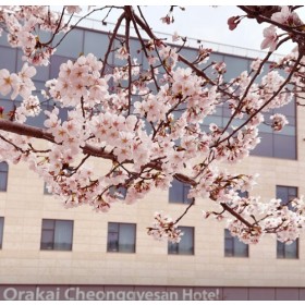 오라카이 청계산 호텔