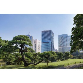 메슴 도쿄, 오토그래프 컬렉션