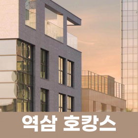 호텔더디자이너스리즈스윗역삼