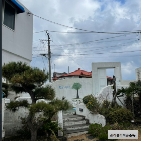 물고기 독채펜션