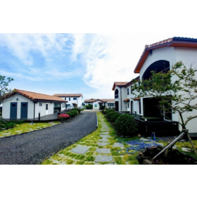 비자림의 아침펜션